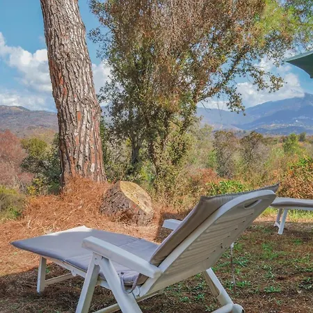 Two-bedroom In Semesterbostad Calcatoggio (Corsica)
